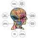 thumbnail image 5 of Rompecabezas AQUARIUS Dean Russo Alien 500 piezas, 5 of 7