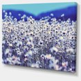 thumbnail image 2 of Amazing Light Blue Chamomile Blossom - Large Flower Canvas Art Print, 2 of 3