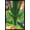 Black Framed Version, variant on Dragon Ball Z: Cell Saga - Shenron Wall Poster, 22.375" x 34"