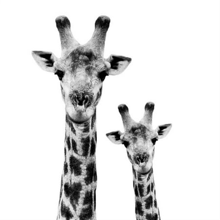 Safari Profile Collection - Portrait of Giraffe and Baby White Edition II Animal Black and White Photo Gender Neutral Nursery Kids' Room Print Wall Art By Philippe