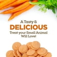 thumbnail image 2 of Living World Pastilles pour Petits Animaux, Saveur de Carotte, 75g, 2 of 12
