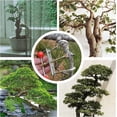 thumbnail image 4 of nipocaio Outil de Pliage de Branches Modulateur de Branches Bonsaï Accessoire de Jardinage Outil de Modélisation de Branches d'Arbres, 4 of 5
