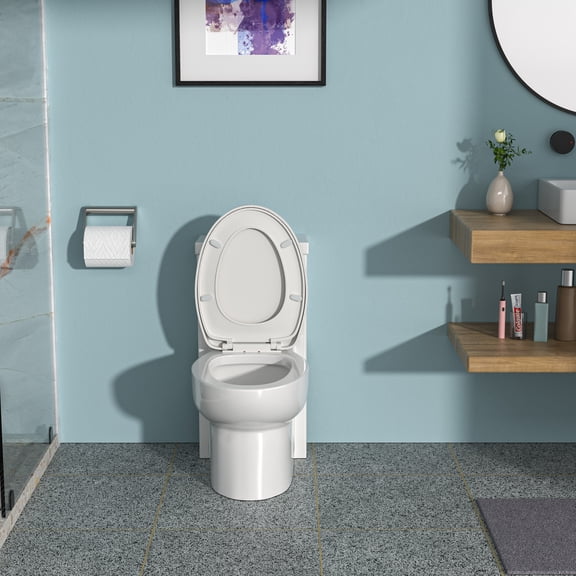 Generic One Piece Toilet - 1.1/1.6 GPF Dual Flush, Soft Closing Seat - 12 Inch