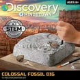 thumbnail image 3 of Discovery™ #MINDBLOWN Colossal Fossil Dig Excavation Science Kit, 15-Pieces, for Kids & Teens, 3 of 11