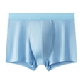 thumbnail image 2 of zeranth Men Underpants U Convex Breathable Mesh Holes Elastic Wide Waist Band Inside Wear Seamless Ice Silk Men Boxers Briefs Quick Dry Men Underwear, 2 of 7