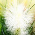 thumbnail image 3 of mulation Flower 5 Forks Reed Artificial Flower Living Room Flower Home Furnishings Decor, 3 of 9