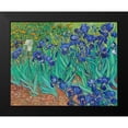 thumbnail image 2 of Van Gogh, Vincent 14x12 Black Modern Framed Museum Art Print Titled - Irises (1889), 2 of 5