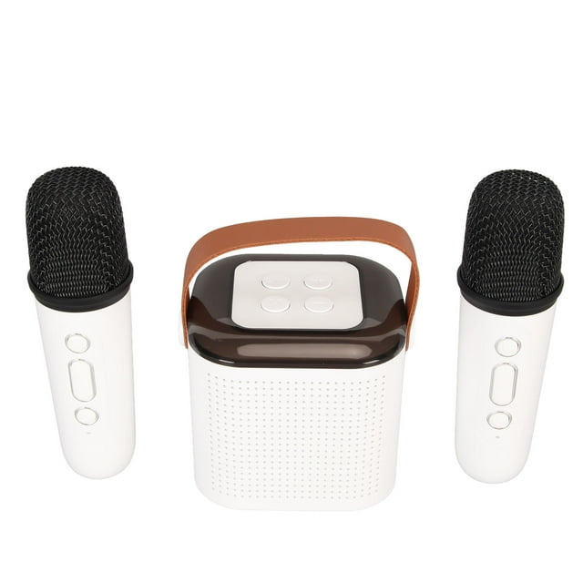 Portable BT Speaker With Microphone Set, Home Karaoke Machine, Mini Karaoke Machine Stereo With RGB Light 2 Microphones For Home Party Birthday