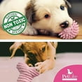 thumbnail image 6 of PetLike 8 Pack Puppy Teething Toys Set, Soft Gentle Interactive Dog Toys for Small Puppies (Pink), 6 of 6