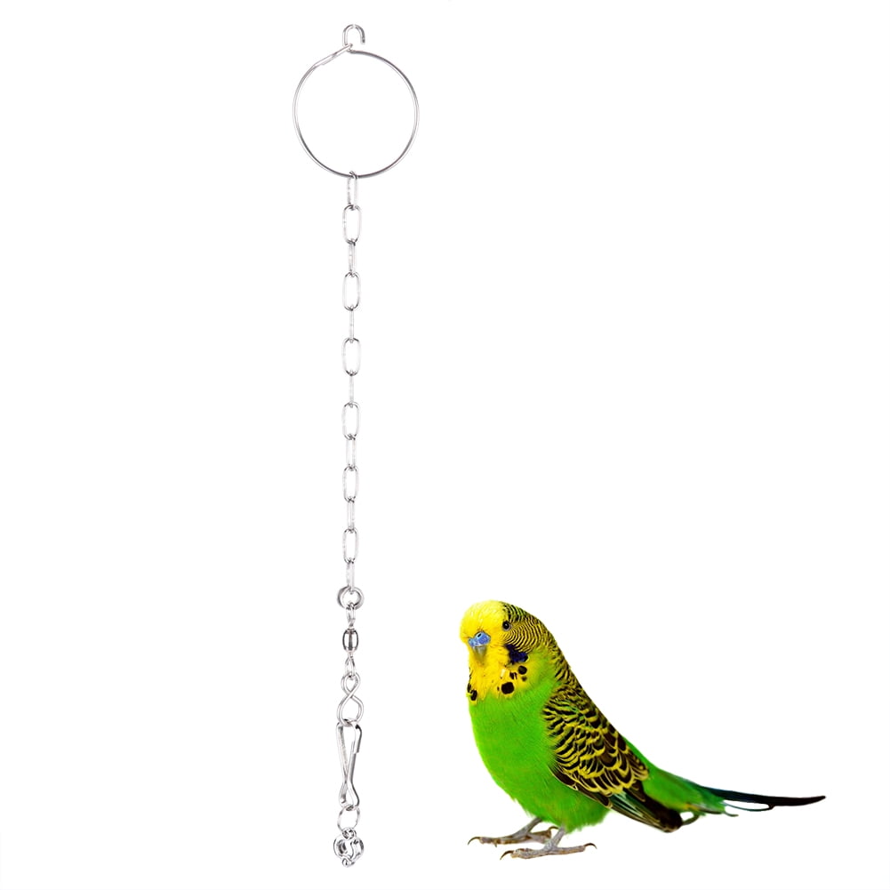 Stainless Steel Pet Bird Activity Opening Foot Training Chain with Ring Accessories Parrots Cage Supplies