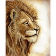 thumbnail image 3 of Tre Sorelle Studios 12x14 Black Modern Framed Museum Art Print Titled - Lion Portrait, 3 of 5