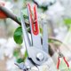 thumbnail image 5 of Herramientas de jardín Tijeras de pico de doble filo | Cuchillas de acero con alto contenido de carbono y acero inoxidable | Poda de perales y árboles frutales | Empuñadura ergonómica | Cerradura de, 5 of 7
