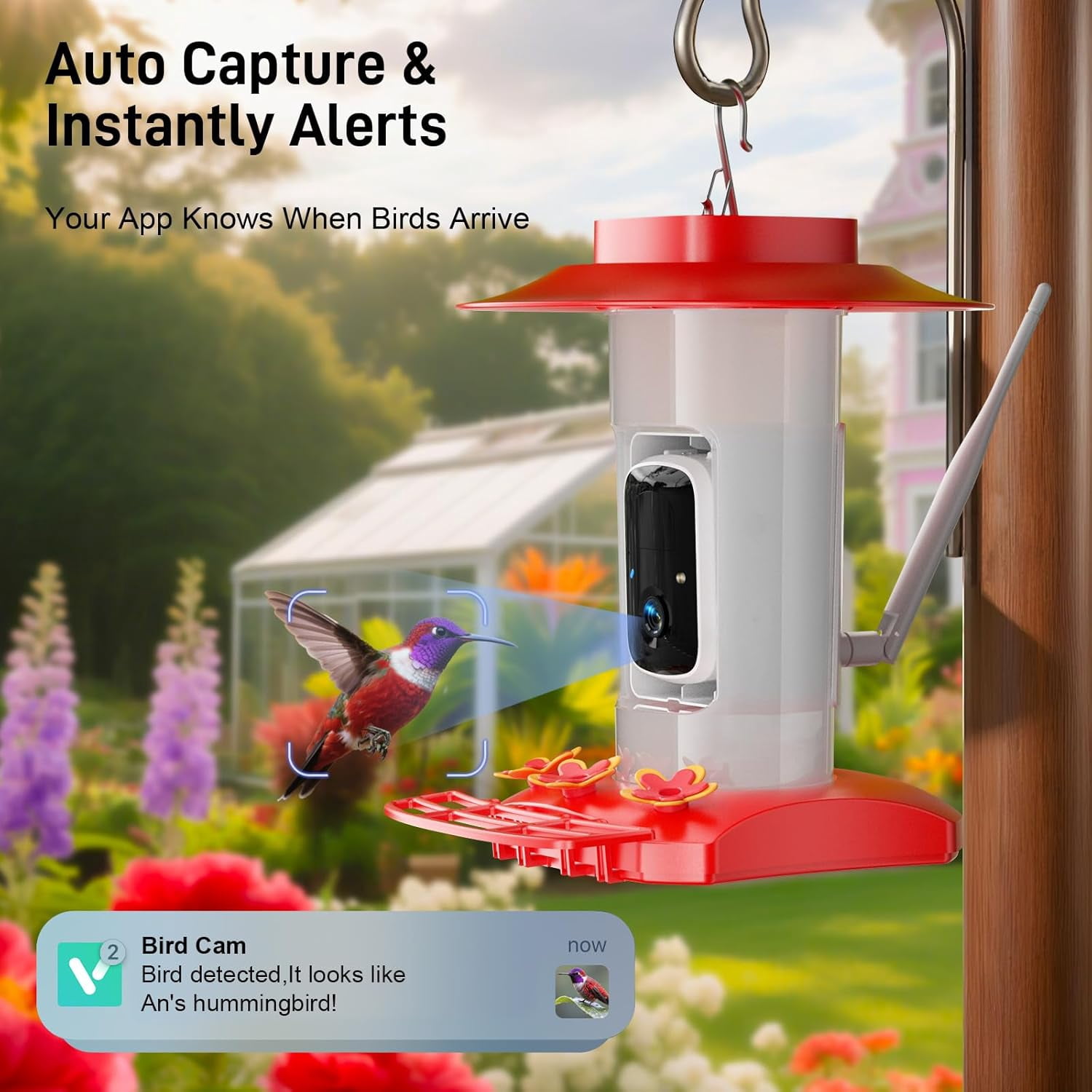 Hummingbird Feeder with Camera Outdoor, SV3C Hanging Bird Feeder with Ant Moat & Bee-Proof, HD 2K Solar Powered, AI Bird Identify, Instant App Alerts, Auto Capture, Hummingbird Lover Gifts, 21oz