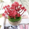 thumbnail image 1 of Gwong Decoración hogareña 1 unid Plastic Fake Artificial Succulents Plant Bonsai Garden Home Office Decor Gwong 21033224, 1 of 7