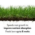 thumbnail image 5 of GreenView Lawn Food Fertilizer with GreenSmart - 48 lbs. - Covers 15,000 Sq. ft., 5 of 9