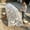 White1, variant on Foldable Chicken Coop Tunnel Lightweight Portable Outdoor, Swing Run Tunnel Enclosure with Cover Ball Cage for Yard and Backyard, Black Chicken Run, Outdoor Animal Housing