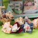 thumbnail image 2 of Torkade blommor simulerade portabla plast mini torkade blommor bukett bollar DIY leksaker Beige, 2 of 5
