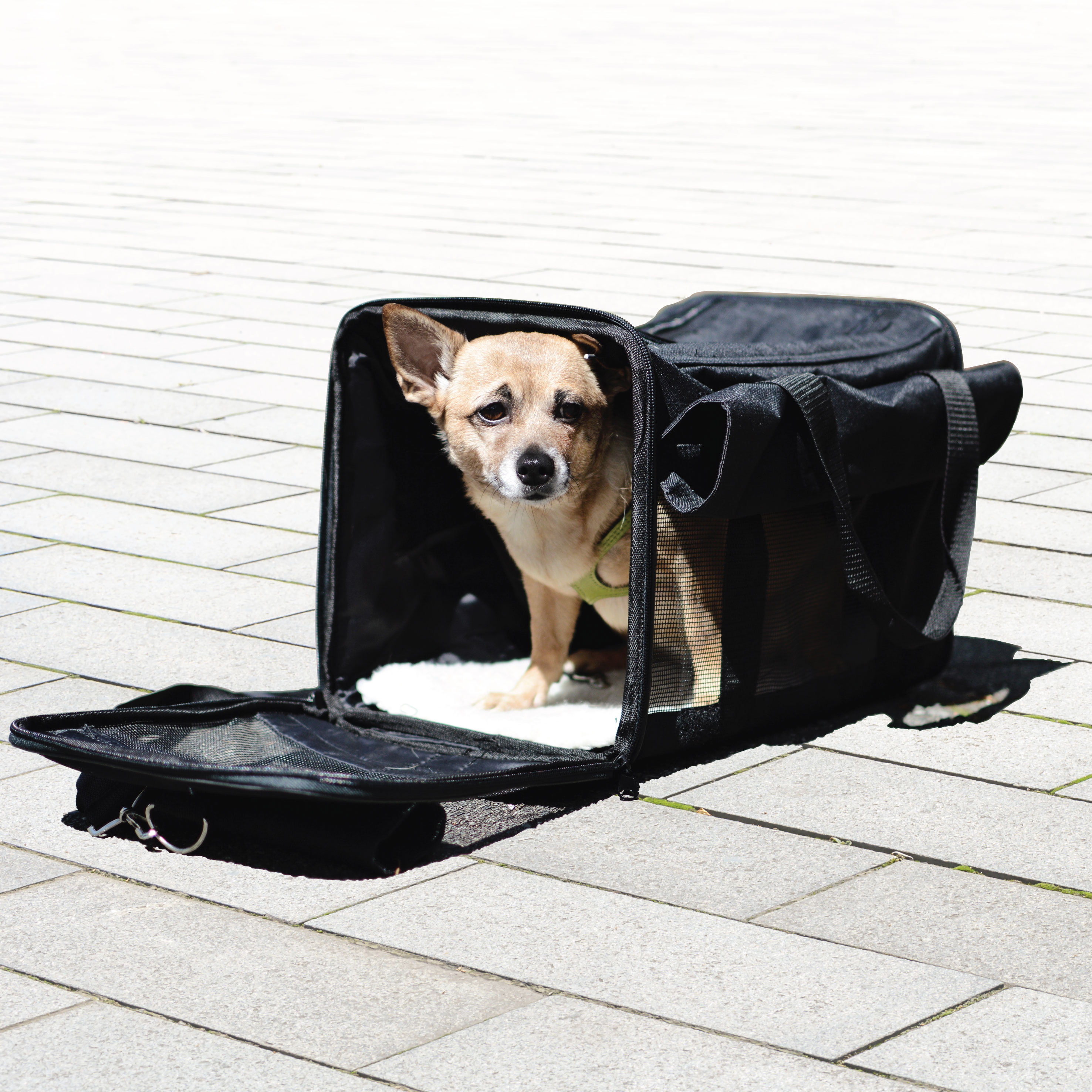 Airline Approved,20.8x10.2x14.1Travel Tote with Cozy and Soft Dog Bed,Portable,Collapsible,Travel Friendly Soft-Sided Large Pet Carrier 