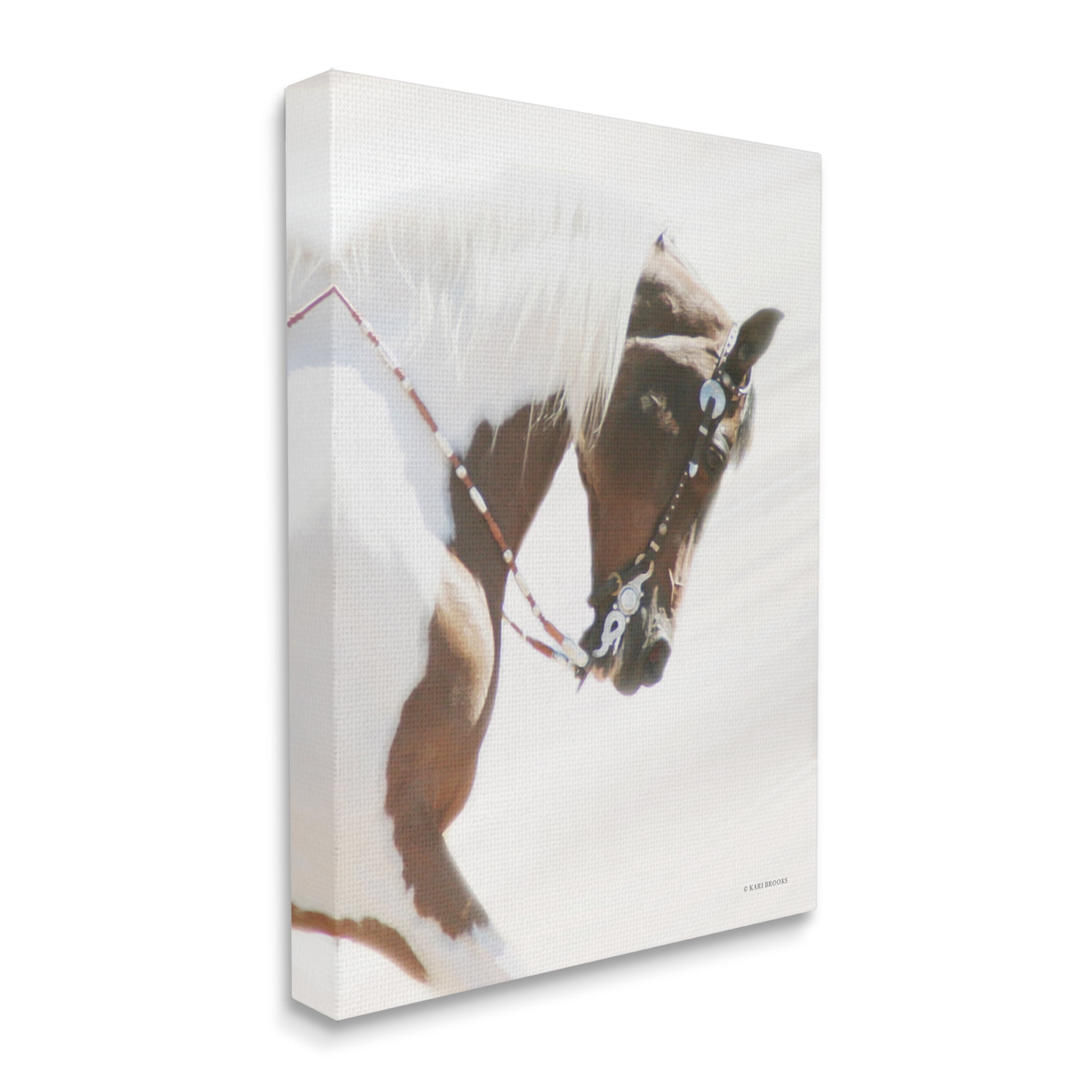 Stupell Industries Galloping Horse with Halter Animals & Insects Photography Gallery Wrapped Canvas Print Wall Art, 36 x 48