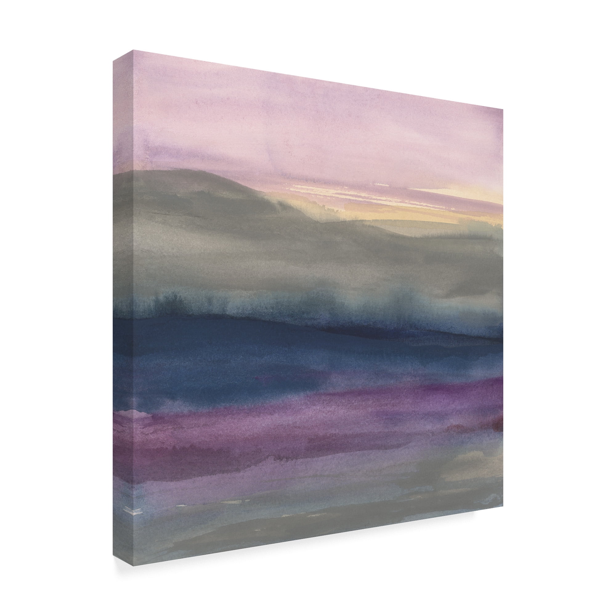 Trademark Fine Art 'Grey Hills I' Canvas Art by Chris Paschke