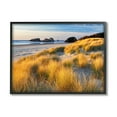 thumbnail image 2 of Stupell Industries Beach Grasses Summer Shoreline Coastal Photography Gray Framed Art Print Wall Art, 2 of 5