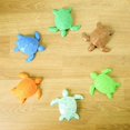 thumbnail image 3 of Friendly Fidget Sea Turtle, 3 of 9