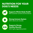 thumbnail image 4 of Iams Proactive Health Chunks in Gravy with Chicken Adult Wet Dog Food, 4 of 13