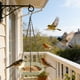 thumbnail image 4 of Comedero colgante para colibríes con cadena – Agua y comedero de plástico exterior para patio del jardín, 4 of 6