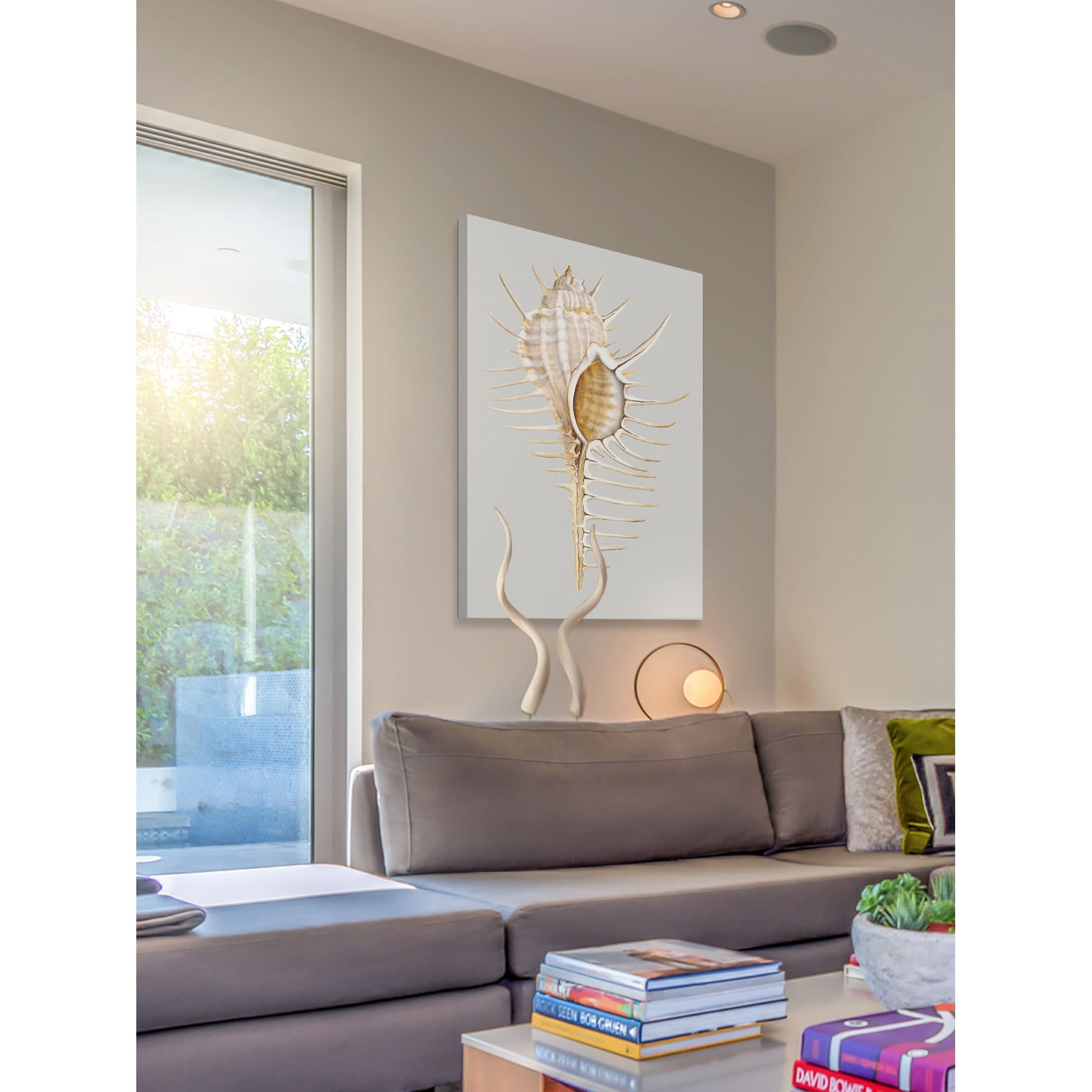 Marmont Hill "Spiny Murex" Painting Print on Wrapped Canvas