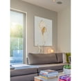 thumbnail image 4 of Marmont Hill "Spiny Murex" Painting Print on Wrapped Canvas, 4 of 5
