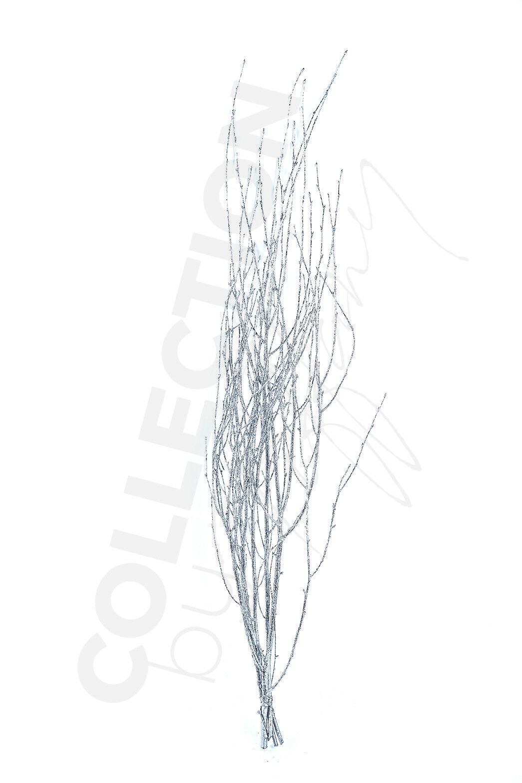 Decorative Dried Birch Branches 3 4 Ft Tall (4 5 Branches / Bunch