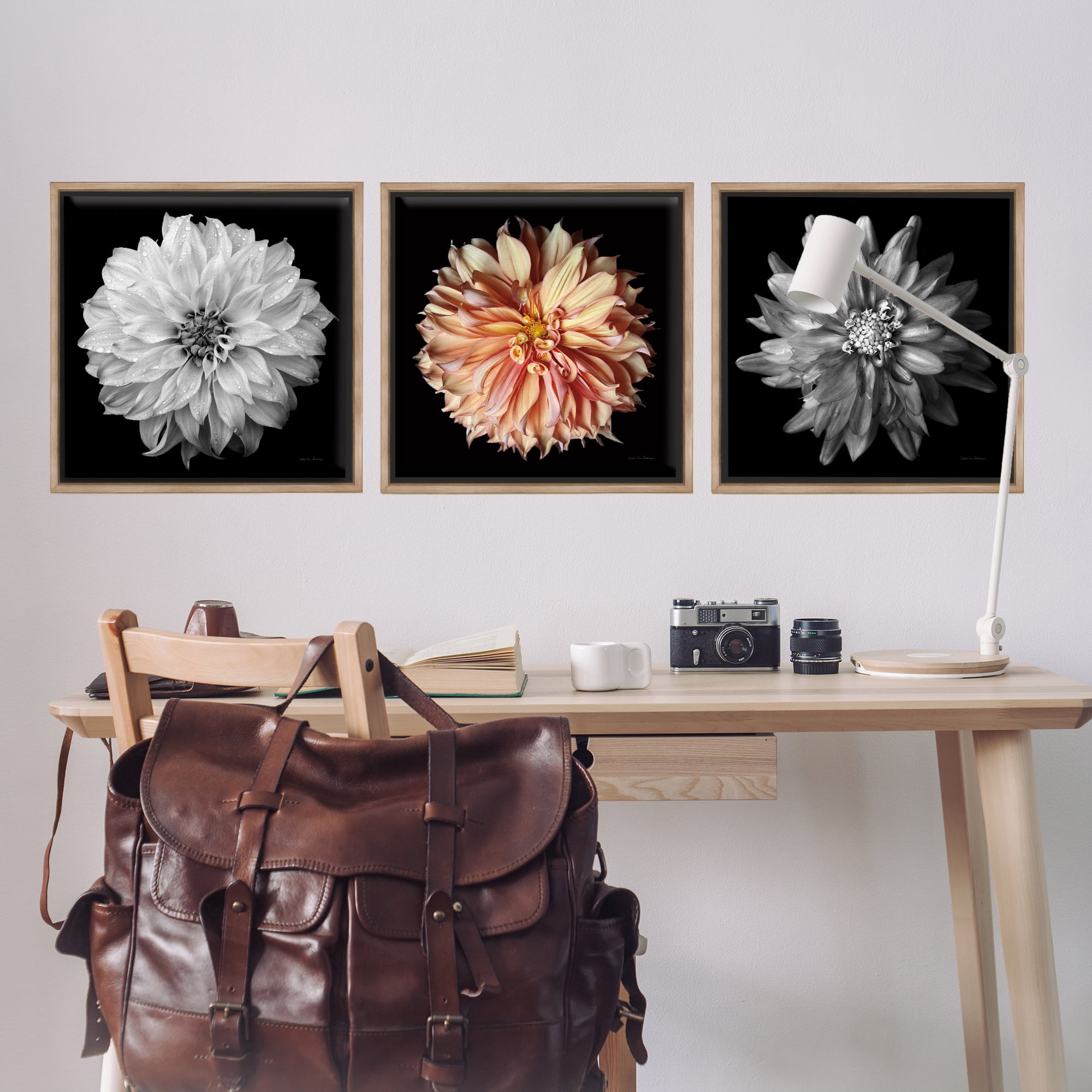 Stupell Industries Detailed Dahlia Photography Plants & Flowers Photography Brown Floater Framed Canvas Art Print Wall Art, 25 x 25, Set of 3