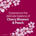 thumbnail image 6 of (6 pack) Clorox Scentiva Bathroom Toilet Cleaning Gel, Cherry Blossom and Peach, 24 Fluid Ounces, 6 of 12
