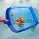 thumbnail image 5 of Sonducket Herramienta de limpieza de piscinas, espumadera de plástico, fuente, borde redondo, pecera, malla, removedor de basura, recogedor de Deportes acuáticos, 5 of 6