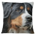 thumbnail image 1 of S4Sassy Pillow Square Cushion Cover Bernese Mountain Dog Face Digital Print Multicolor -12 x 12 Inches, 1 of 4
