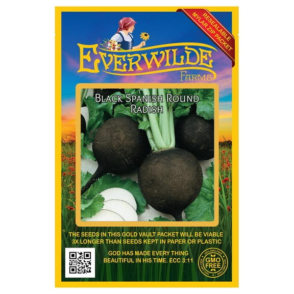 Everwilde Farms 500 Black Spanish Round Radish Plant Seeds