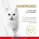 thumbnail image 3 of Alimento para Gato Purina Fancy Feast Casserole con Atún y Salmón 85 g, 3 of 4
