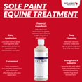 thumbnail image 2 of Sole Paint Rojo de Red Horse Products para la salud del casco 500 mL, 2 of 6