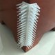 thumbnail image 2 of BRIGHTFUFU 2pcs Práctico Pet Corner Pet Comb Peine extraíble Cat Corner Scratching Rubbing Brush Cat Hair Removal Massage Comb, 2 of 8