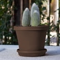 thumbnail image 3 of Bloem Terra Pot Planter - 12" - Chocolate, 3 of 8