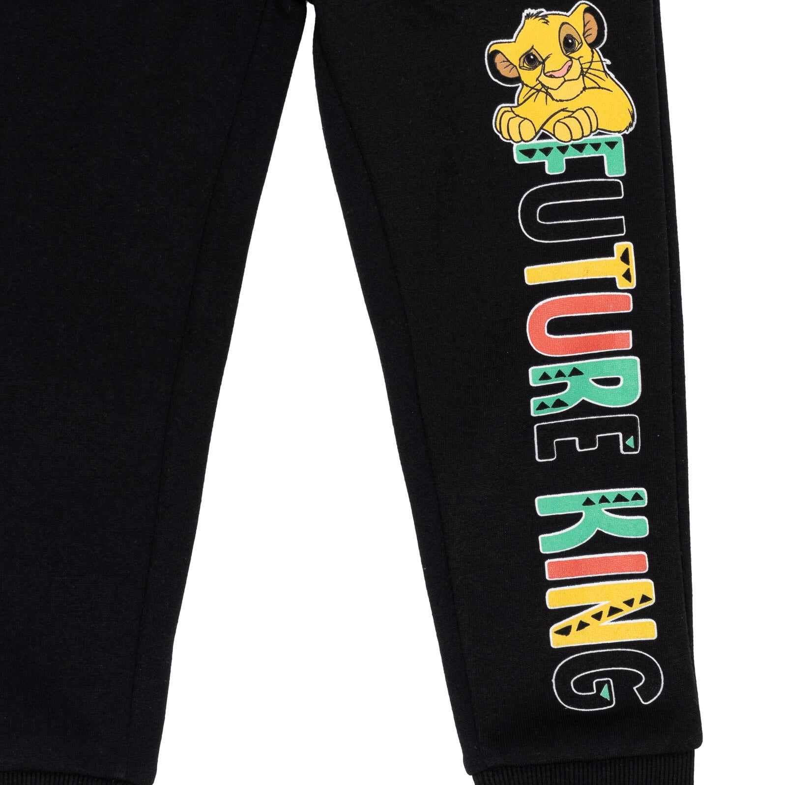 Disney Lion King Simba Timon Pumbaa Little Boys Fleece 2 Pack Pants Toddler to Big Kid