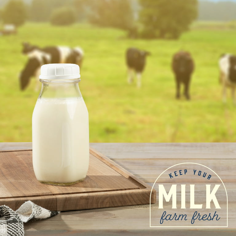 The Dairy Shoppe Heavy Glass Milk Bottles - Jugs with Lids and Silicone  Pour Spouts - Clear Milk Containers for Fridge - Reusable Glass Milk Jug