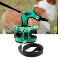 thumbnail image 1 of Flmtop Pet Leashes Adjustable Breathable Polyester Walking Safety Dog Harness for Puppy Green, 1 of 9