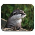 thumbnail image 1 of Otter Face Close-up Mouse Pad, 1 of 1