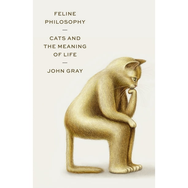 Feline Philosophy Cats and the Meaning of Life (Hardcover) Walmart
