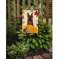 thumbnail image 2 of Carolines Treasures BB2017GF German Shepherd Thanksgiving Flag Garden, 2 of 3