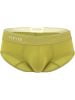 Green_Style_26012