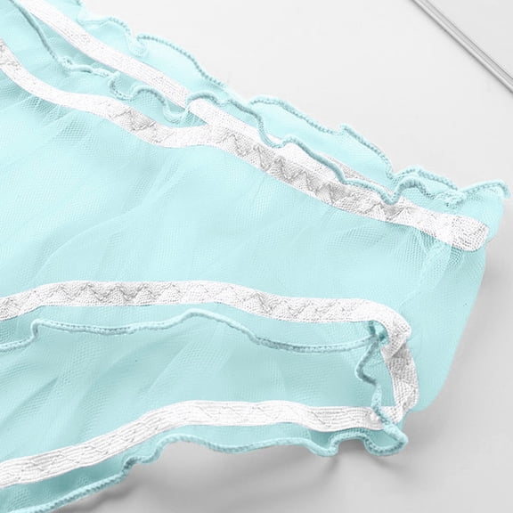 CENTIE Lingerie for Women Elegant Sheer Mesh Lace Multicolor Panties for Women Blue L