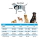 thumbnail image 2 of AnyPet Arnés para Perros Arnés Grande sin Tirones para Perros, 2 of 7