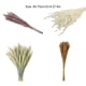 thumbnail image 5 of Ramo seco de caña de Flores secas 15/30/50/100 Uds Cateissary decoración de fiesta plantas Flores artificiales, 5 of 6